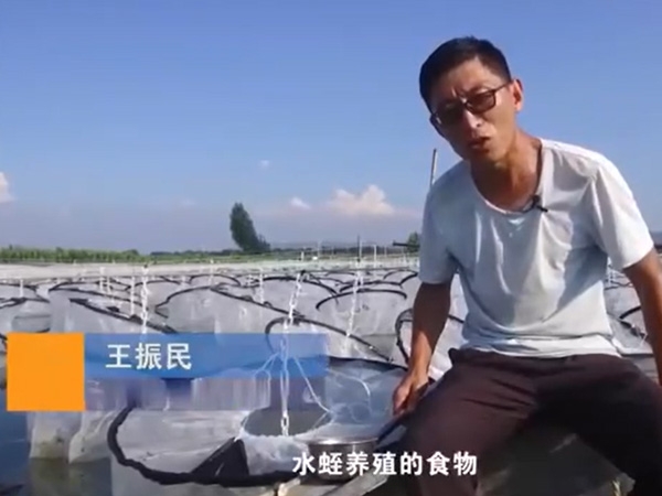 养殖治理.食品投放