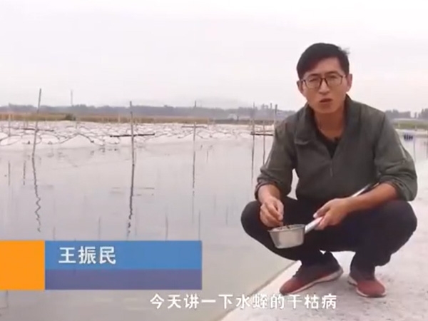 J9集团干枯病产生涯法规及防治步骤