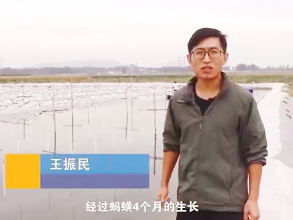 J9集团收成流程