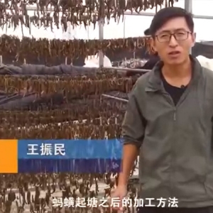 J9集团加工步骤