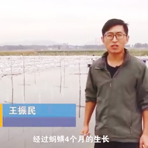 J9集团收成流程