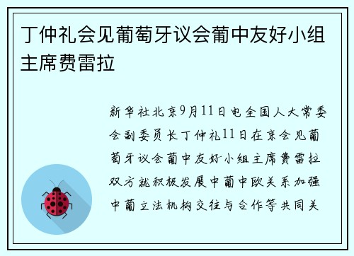 丁仲礼会见葡萄牙议会葡中友好小组主席费雷拉
