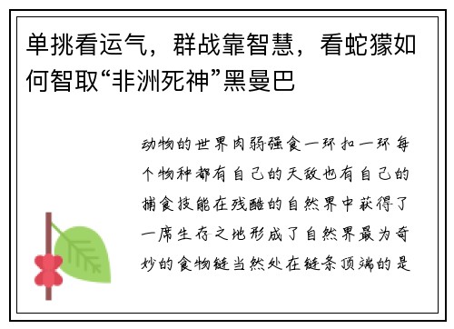 单挑看运气，群战靠智慧，看蛇獴如何智取“非洲死神”黑曼巴